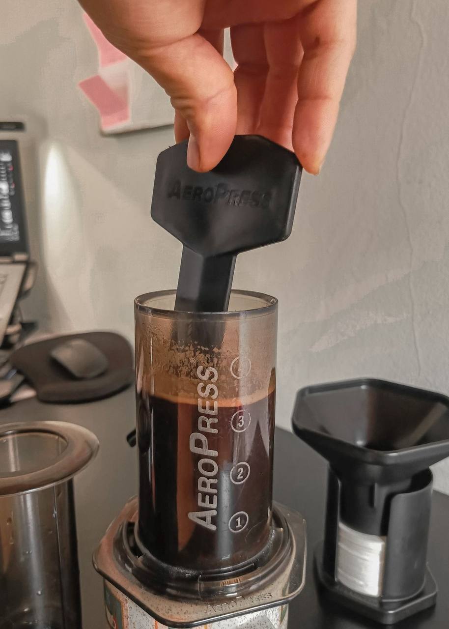 photo_2025-08-11 12.49.56.jpeg