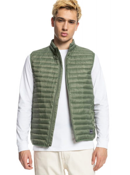 .// /  QUIKSILVER Scaly
