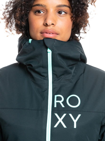 .//  /    ROXY Galaxy