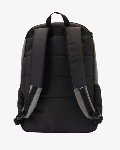 //  /   Command 29L