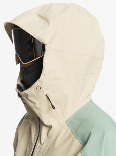 .// /    Pro S Carlson 3L Gore-Tex